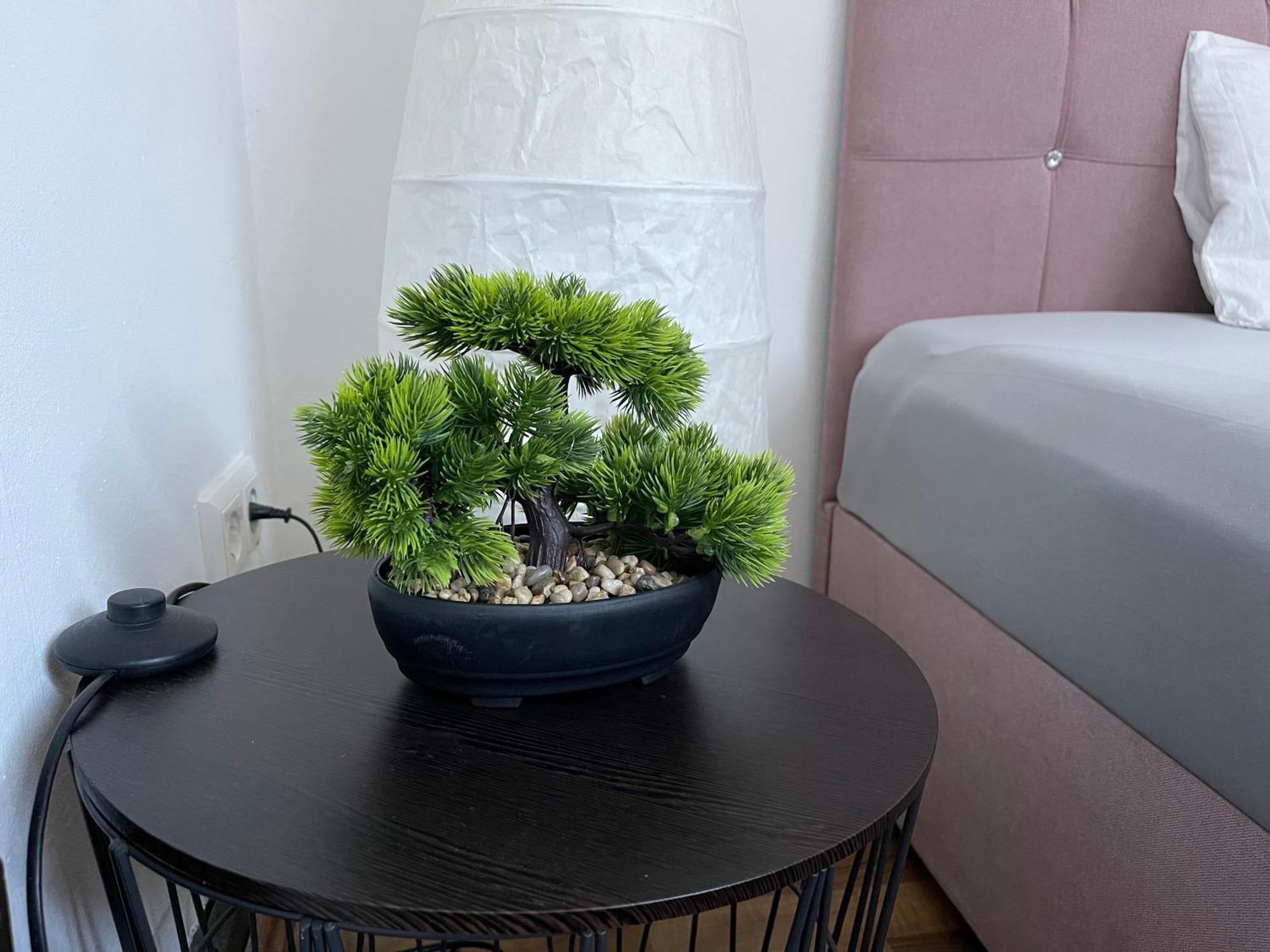 Bequemes Einzelzimmer Im Herzen Von カッセル エクステリア 写真